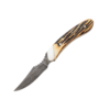 6 3/4" Genuine India Stag Bone™ Damascus Caper w/Leather Sheath