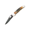 3 3/4" Genuine India Stag Bone™ Damascus Locking Cowhand™