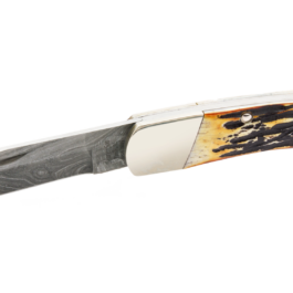 5″ Genuine India Stage Bone™ Professional Lockback Damascus – 597D